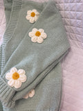 Spring Sweater/Sage