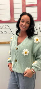 Spring Sweater/Sage