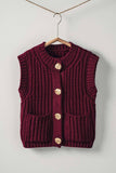 Wine Sweater Vest